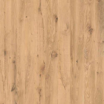 K584 Gold Armadas Oak
