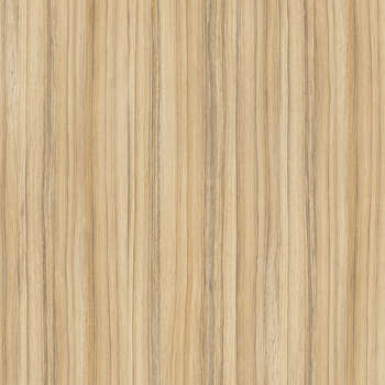 8995 Coco Bolo