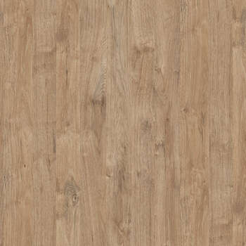 K361 Gold Harbor Oak