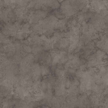 K539 Fossil Arosa