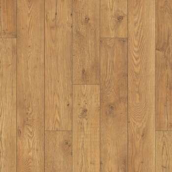 5537 Tawny Chestnut