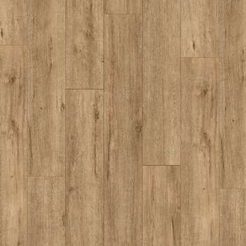 K634 Mushroom Apollo Oak