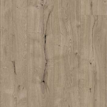 O272 Oak Bristol