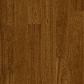 O771 Pacific Cherry