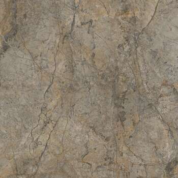 R104 Rainforest Brown