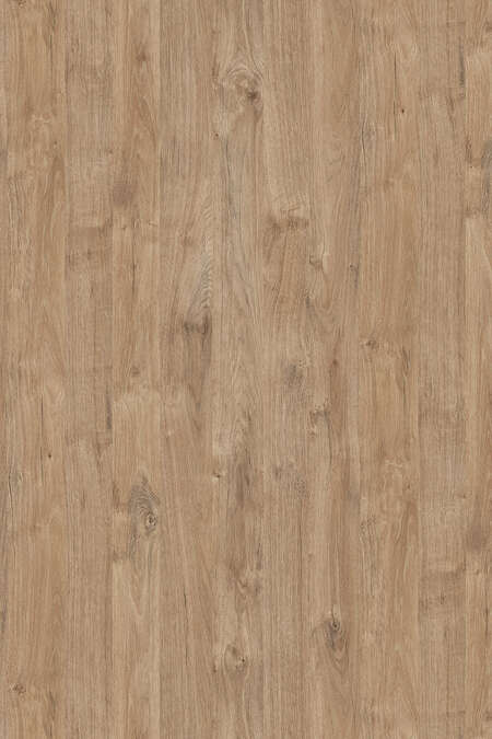 K361 Gold Harbor Oak