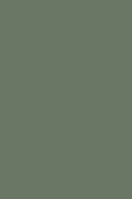 K521 Smoke Green