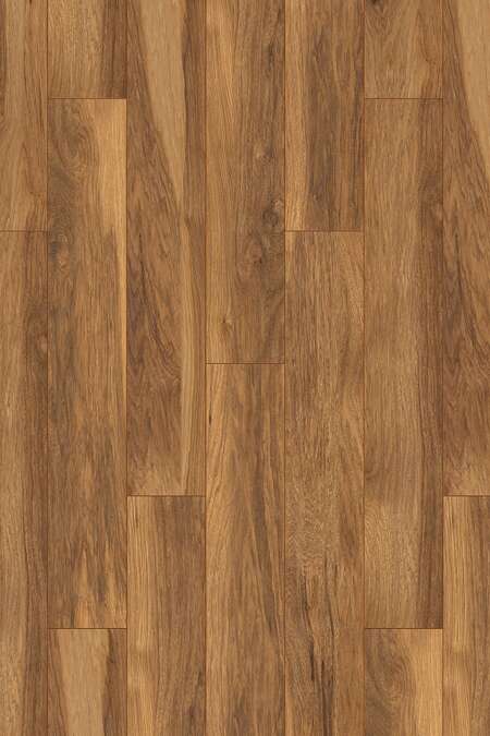 8155 Appalachian Hickory