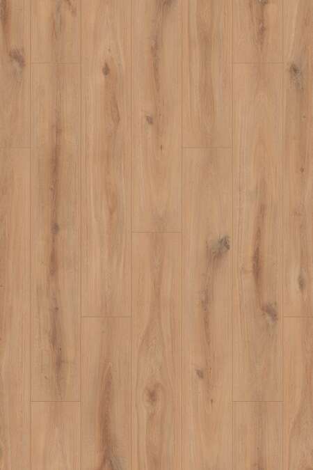 K230 Golden Vista Oak