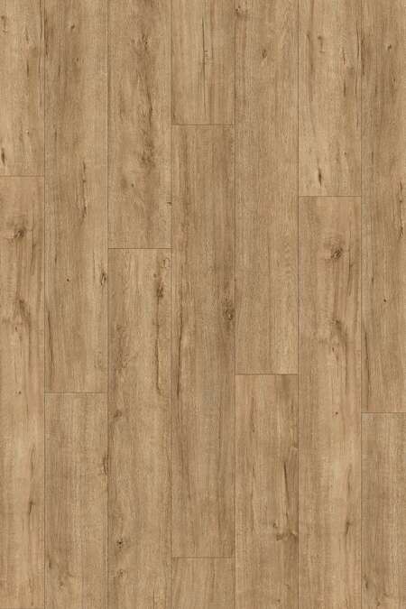 K634 Mushroom Apollo Oak