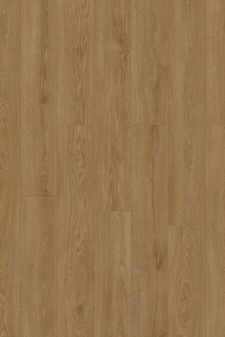K638 Wheat Cornforth Oak