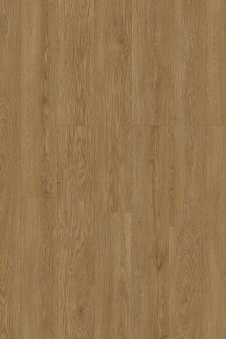 K638 Wheat Cornforth Oak