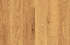 O980_70x45_crop_478b24840a